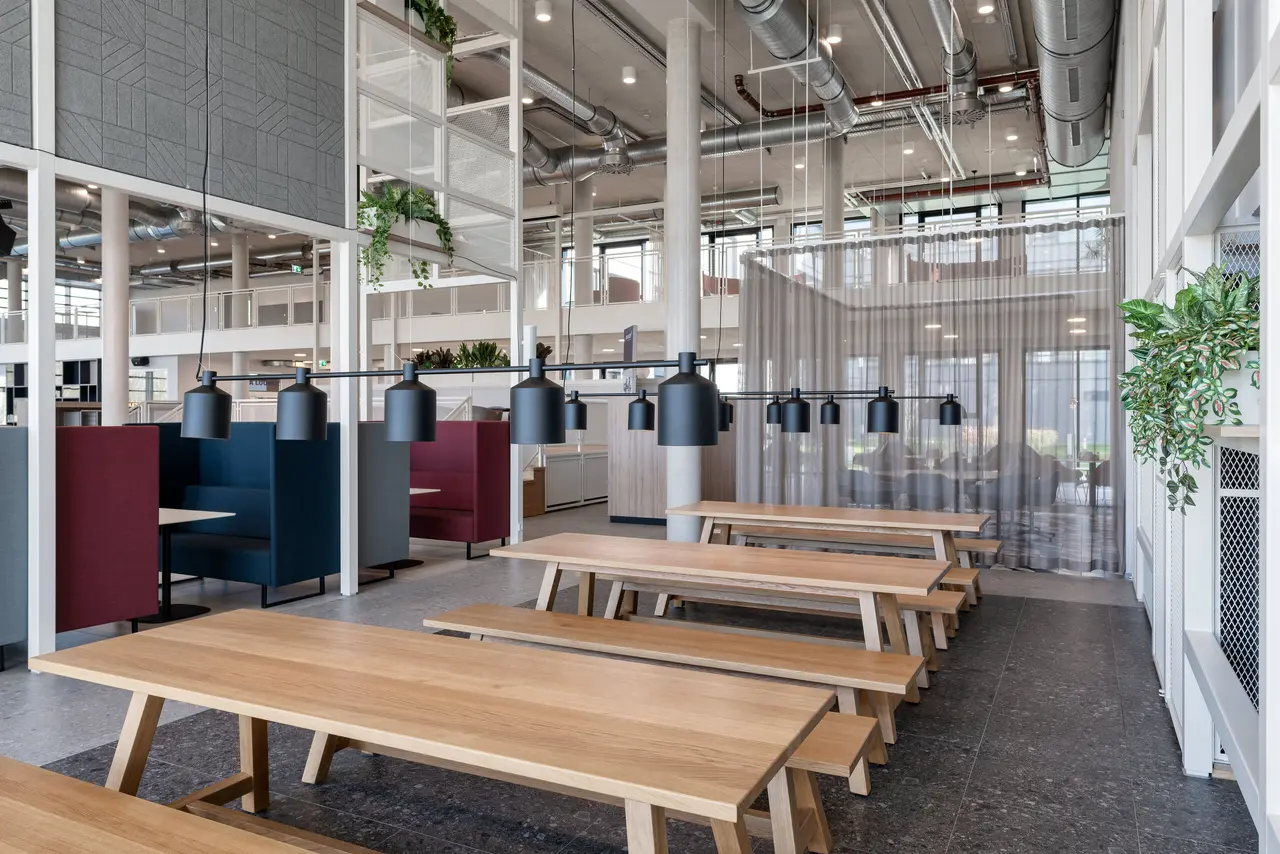 Im Vordergrund Picknicktische und -bänke aus Massivholz mit hochwertiger Beleuchtung, dahinter raumtrennde Elemente, raumtrennende Vorhänge und akustisch wirksame Softseating-Lösungen.