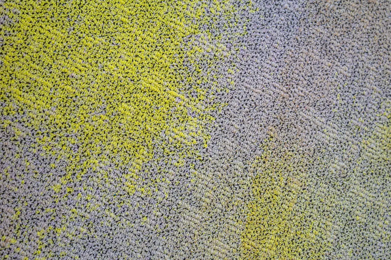 deka-investment-tepich-object-carpet-kimi