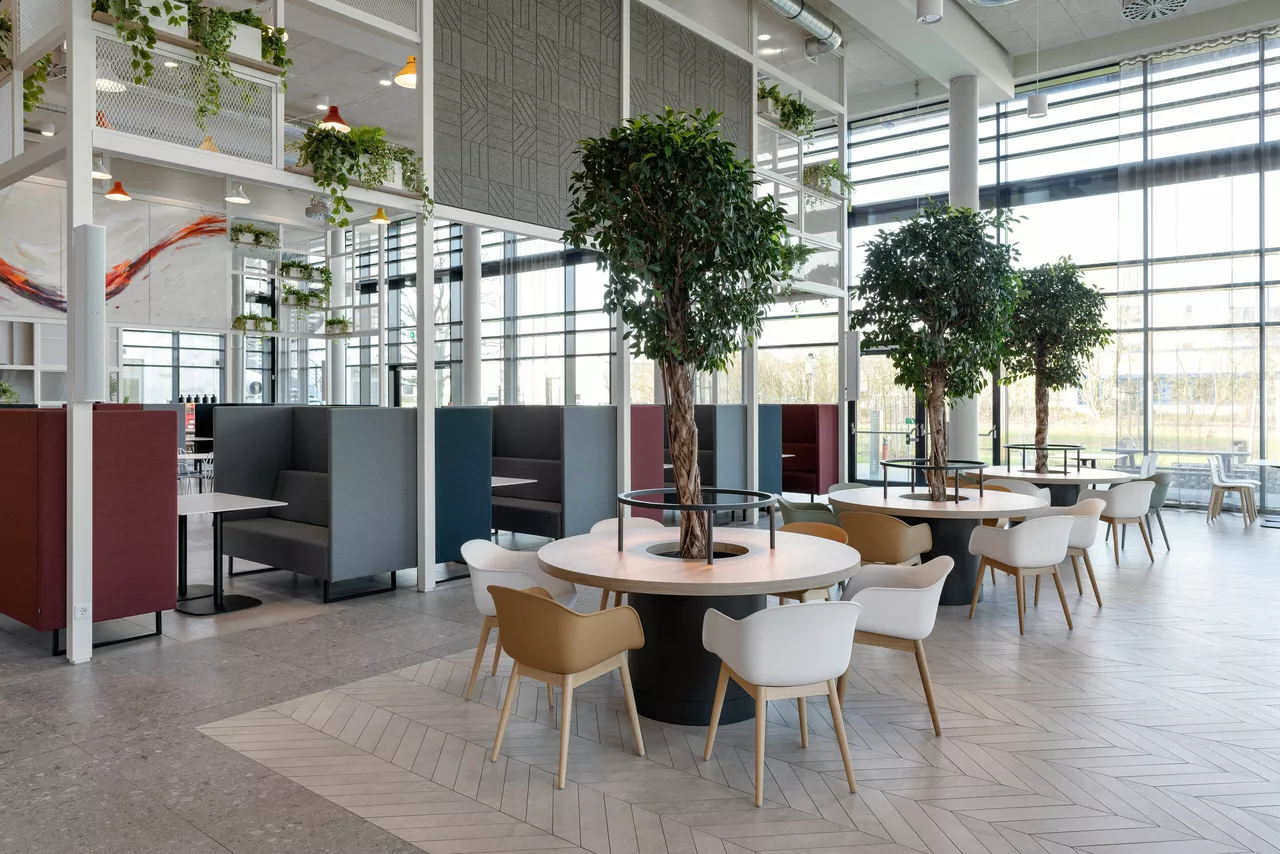 Öffentlicher Aufenthaltsbereich mit akustisch wirksamen Softseating-Elementen, Schalensesseln und Tischen mit Bäumen.